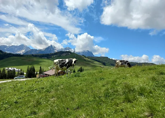 Apartment Brennerbauer Lofer